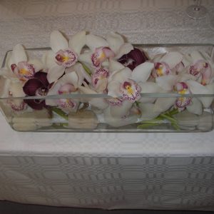 Juhlava orkideamalja hääparin pöydässää